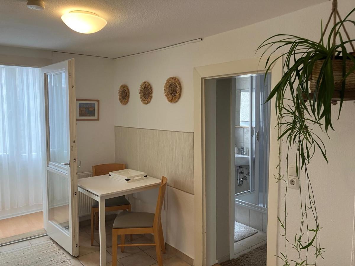 Enz Apartment Bietigheim-Bissingen Exterior photo